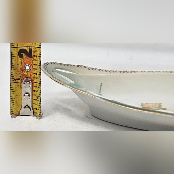 Vintage RS Tillowitz Silesia Hand Painted Butter Celery Dish White Magnolia - Picture 13 of 15